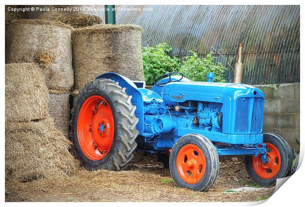 Blue Tractor Print by Paula Connelly