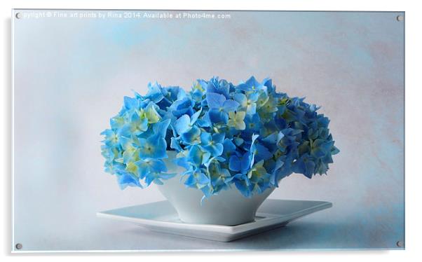 Delicately Blue Acrylic by Fine art by Rina