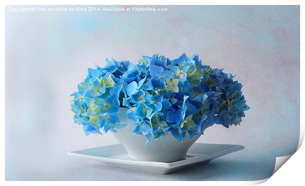 Delicately Blue Print by Fine art by Rina