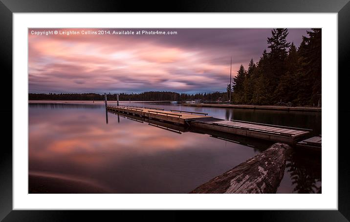 comox lake boardwalk Framed Mounted Print by Leighton Collins