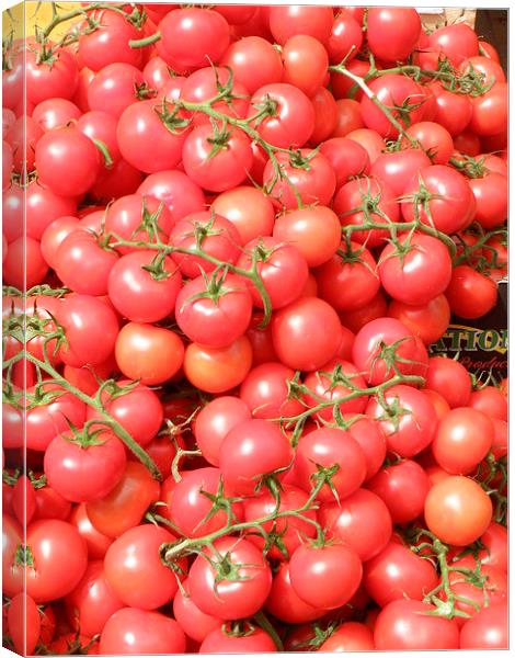 Vine Tomatoes Canvas Print by Edward Denyer