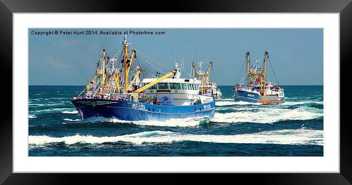 The Racing Trawlers Framed Mounted Print by Peter F Hunt