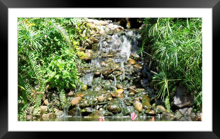Lilly Pond Waterfall Framed Mounted Print by Mark McDermott