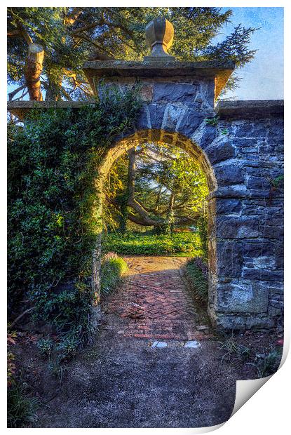 Sunny Garden Arch Print by Ian Mitchell
