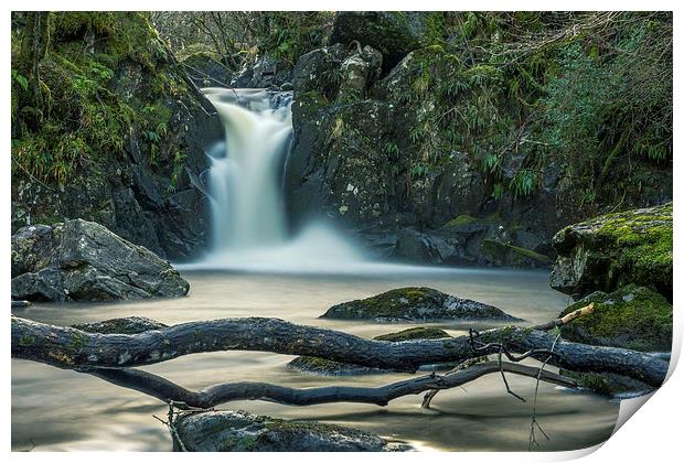 Scottish Waterfall Print by Adrian Hargan