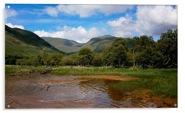 loch awe Acrylic by dale rys (LP)