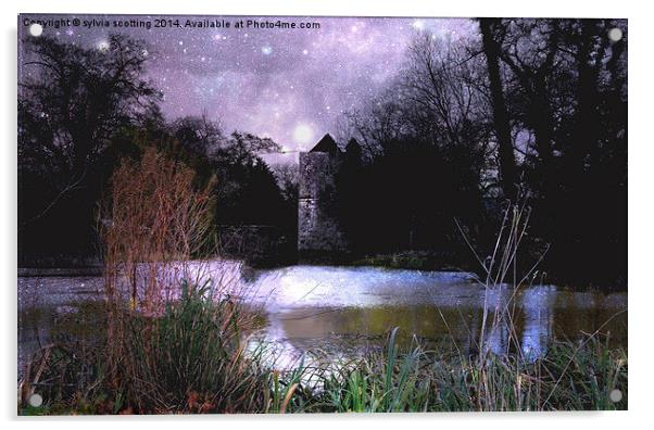 Night at mystery Lake Acrylic by sylvia scotting