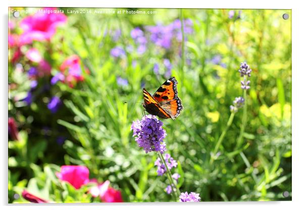 Summer lavender meadow with a butterfly Acrylic by Malgorzata Larys