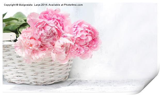 Beautiful soft pink peonies artistic still life Print by Malgorzata Larys