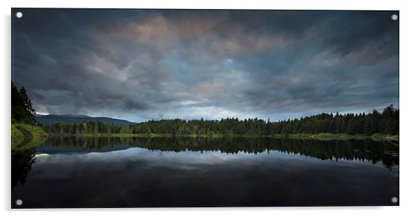 Maple lake Vancouver island Acrylic by Leighton Collins