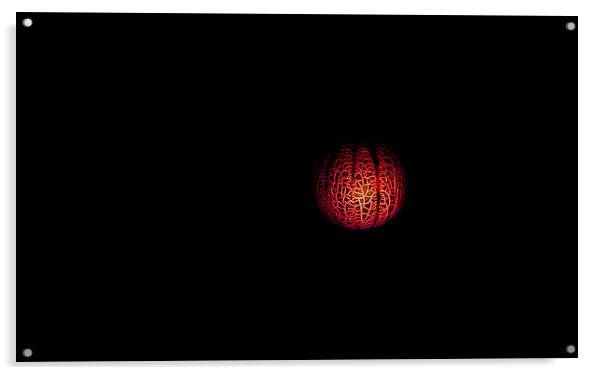 Red Melon Flypast Acrylic by Steven Garratt