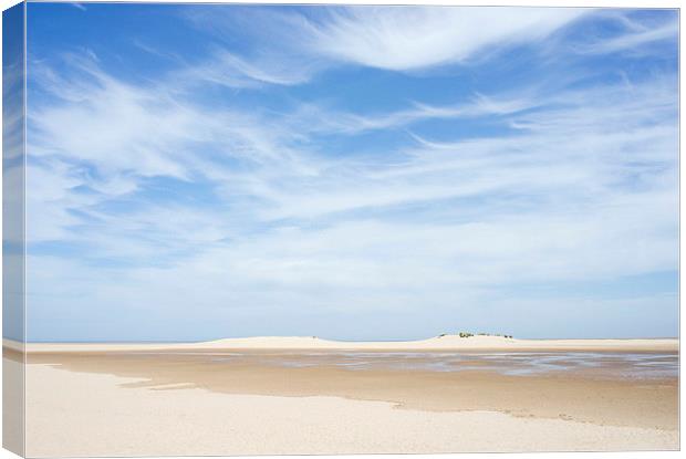 Blue sky beach and sand dunes. Wells-next-the-sea. Canvas Print by Liam Grant