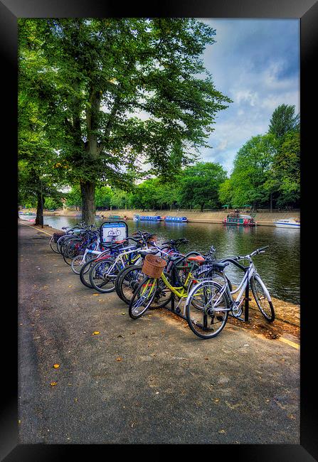 Summer Bike Ride Framed Print by Ian Mitchell