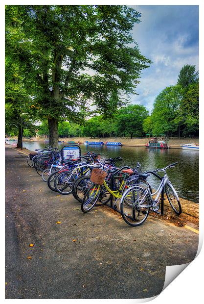 Summer Bike Ride Print by Ian Mitchell