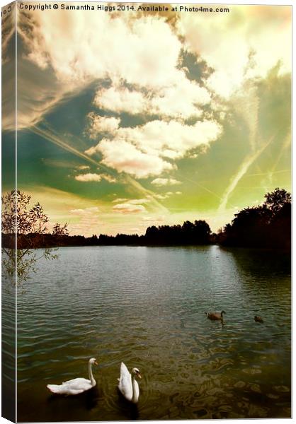 Swans and Sky at Thatcham Lakes Canvas Print by Samantha Higgs