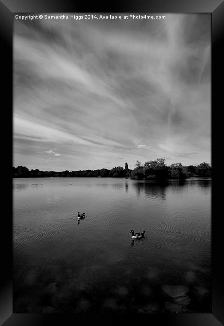 Thatcham Lakes in Black and White Framed Print by Samantha Higgs