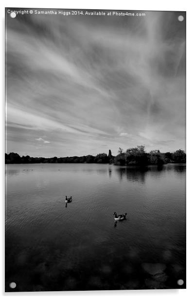 Thatcham Lakes in Black and White Acrylic by Samantha Higgs