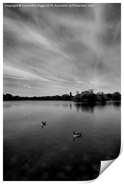 Thatcham Lakes in Black and White Print by Samantha Higgs