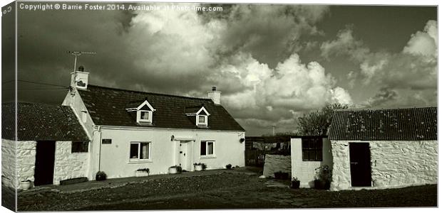 Cottages Near Aberieddy Canvas Print by Barrie Foster
