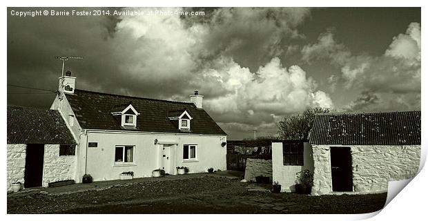 Cottages Near Aberieddy Print by Barrie Foster