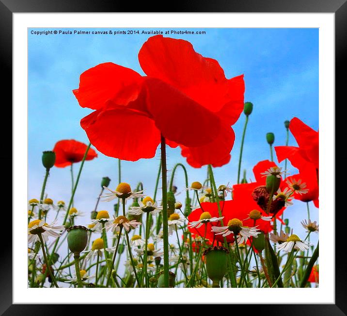 Poppies Framed Mounted Print by Paula Palmer canvas