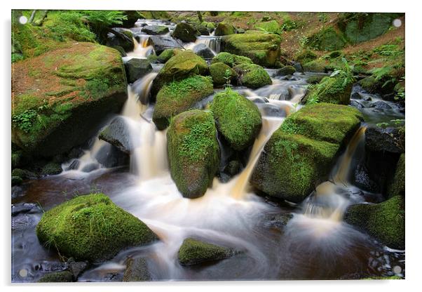 Wyming Brook Falls 3 Acrylic by Darren Galpin
