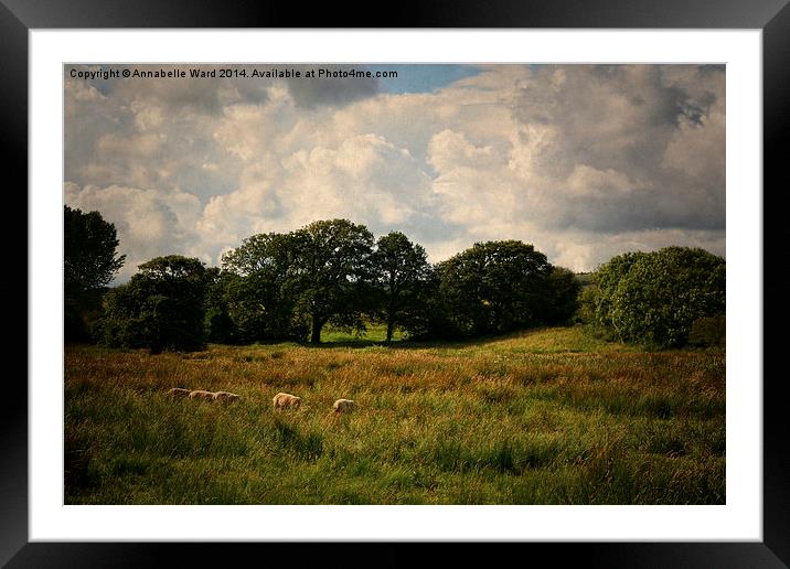 Arreton Countryside. Framed Mounted Print by Annabelle Ward