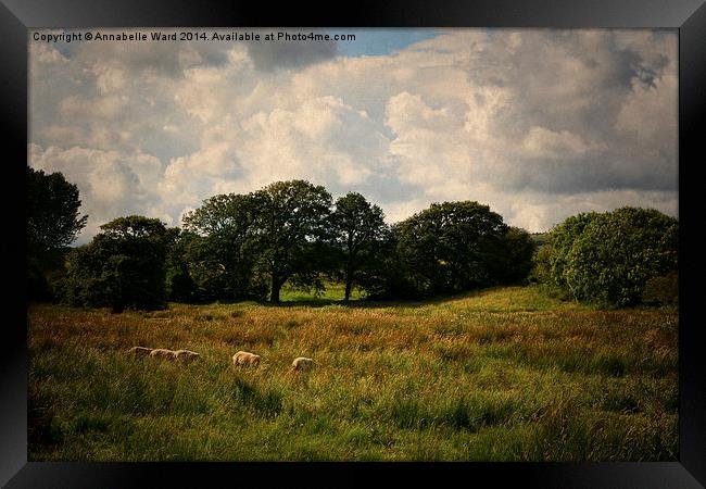 Arreton Countryside. Framed Print by Annabelle Ward