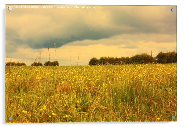 Scenic Scottish landscape with meadow of wildflowe Acrylic by Malgorzata Larys