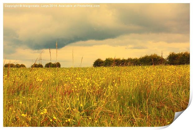 Scenic Scottish landscape with meadow of wildflowe Print by Malgorzata Larys