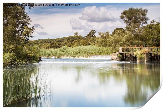 The Mill Pond Print by Phil Wareham