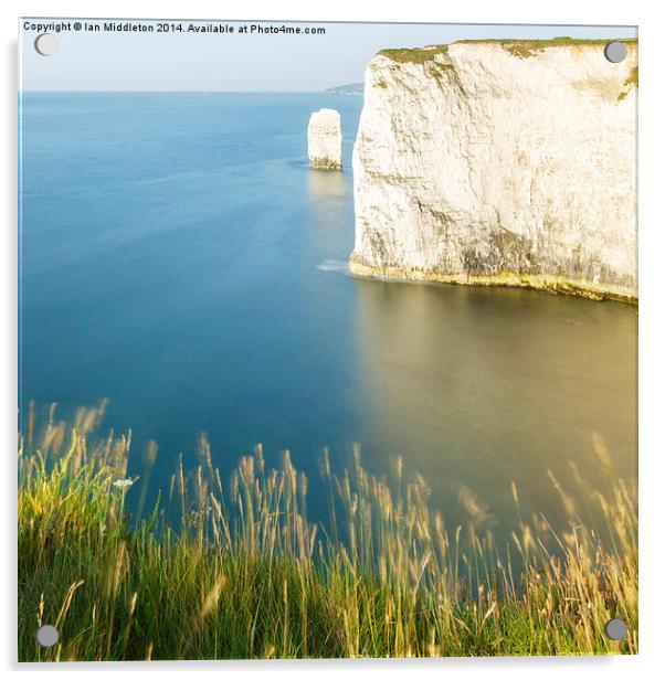Morning light at Old Harry Rocks Acrylic by Ian Middleton
