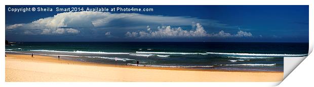 Manly Beach panorama Print by Sheila Smart