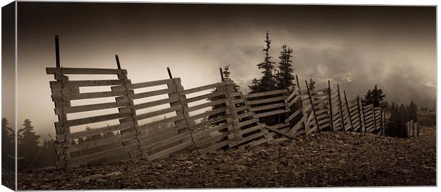 Old fence Canvas Print by Leighton Collins