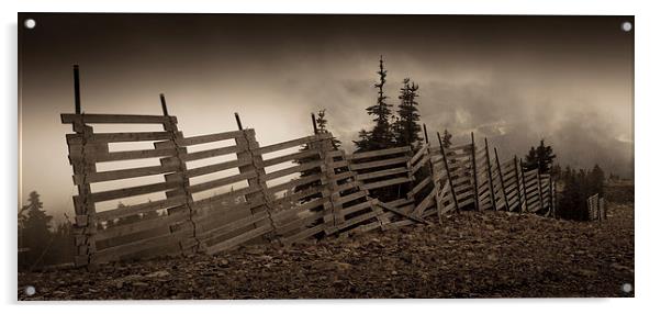 Old fence Acrylic by Leighton Collins