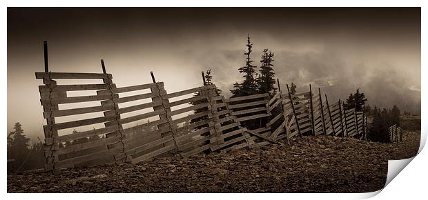 Old fence Print by Leighton Collins