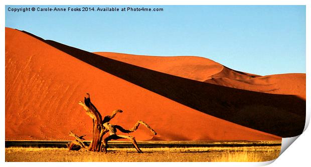 Dunes, Dead Tree & Dry Tsauchab River Valley, Nami Print by Carole-Anne Fooks
