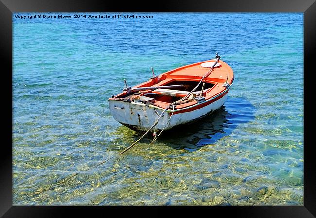 Row boat Framed Print by Diana Mower