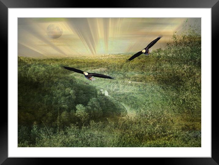 Eagles Over Area Base One. Framed Mounted Print by Heather Goodwin