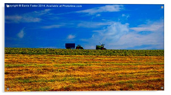 First Cut, Longhouse Acrylic by Barrie Foster