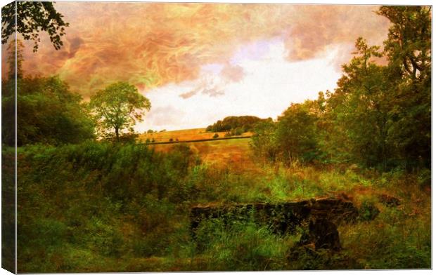 Rustic Silence. Canvas Print by Heather Goodwin