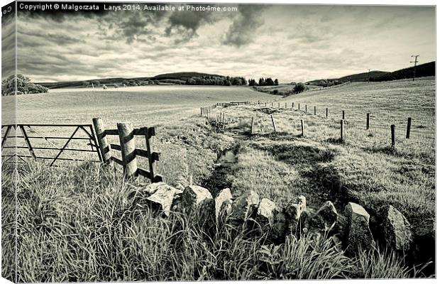 Countryside in Scotland in black and white Canvas Print by Malgorzata Larys