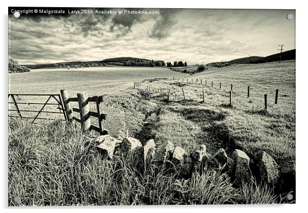 Countryside in Scotland in black and white Acrylic by Malgorzata Larys