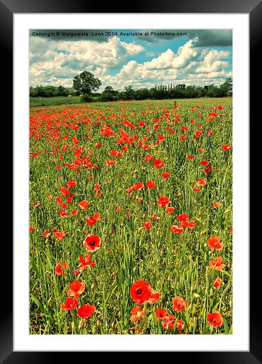 Fields or wild red poppies, vintage style Framed Mounted Print by Malgorzata Larys