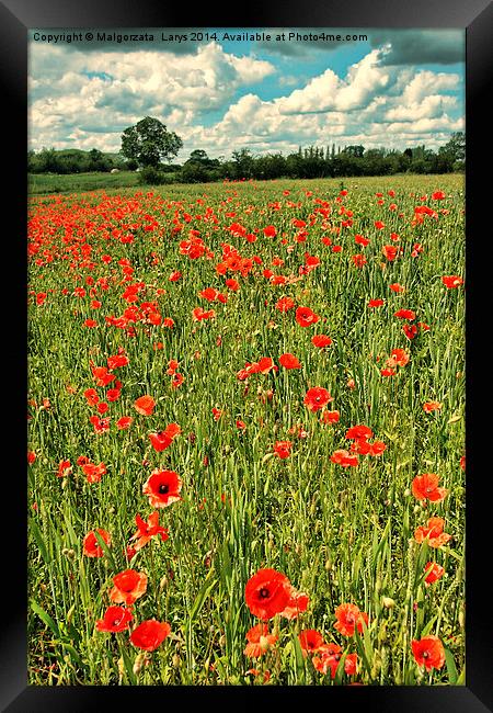 Fields or wild red poppies, vintage style Framed Print by Malgorzata Larys