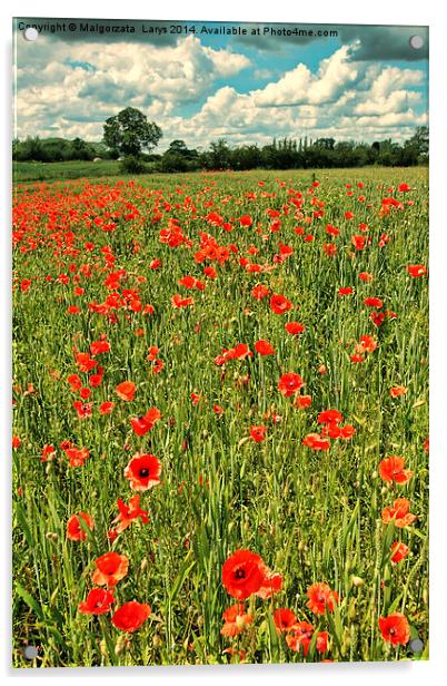 Fields or wild red poppies, vintage style Acrylic by Malgorzata Larys