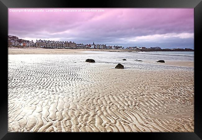 The beach at North Berwick, East Lothian, Scotland Framed Print by Malgorzata Larys
