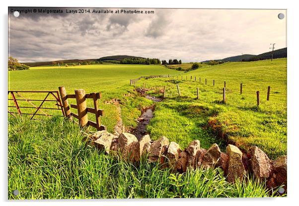 Spring rural landscape with stone wall,  Scotland Acrylic by Malgorzata Larys
