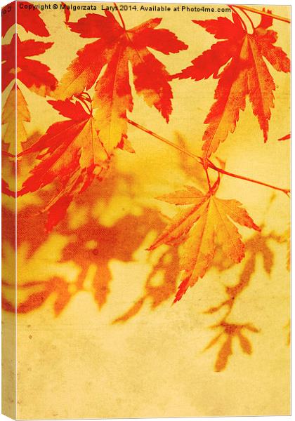 Old, autumnal dreamy, brown background  Canvas Print by Malgorzata Larys