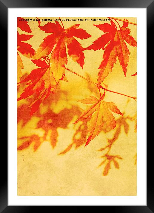 Old, autumnal dreamy, brown background  Framed Mounted Print by Malgorzata Larys